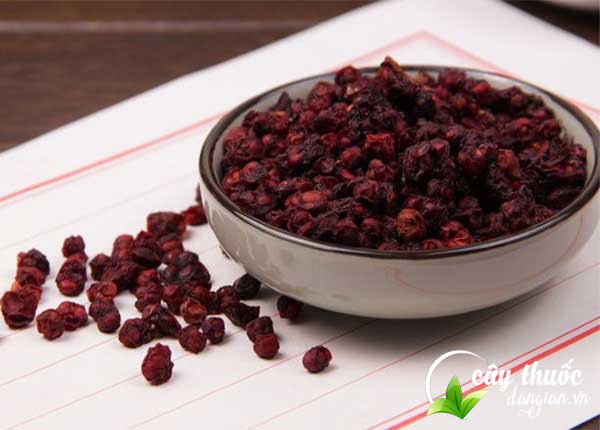 Ngũ vị tử giúp cải thiện chứng suy nhược cơ thể